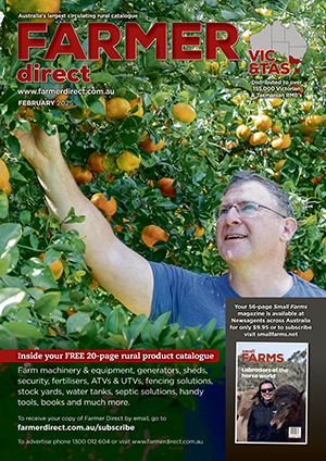 Read Online